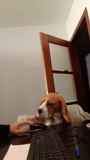 Ты что не видишь, место занято