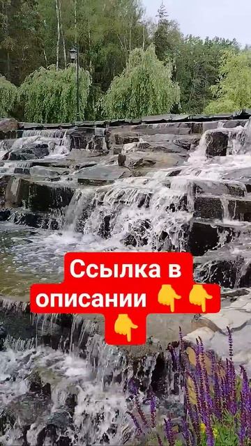 мудрые слова со смыслом! #смыслжизни #мудрость #психология #философия #рекомендации #shorts