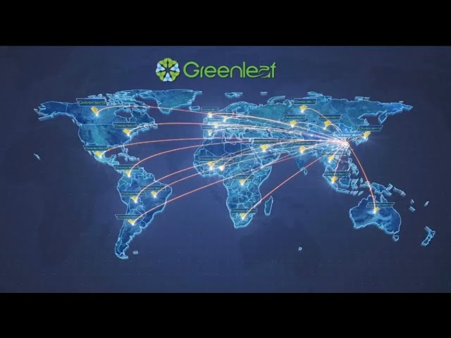 Видеопрезентация компании Greenleaf 2024 🍃 (ru)