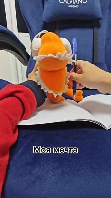 Моя мечта