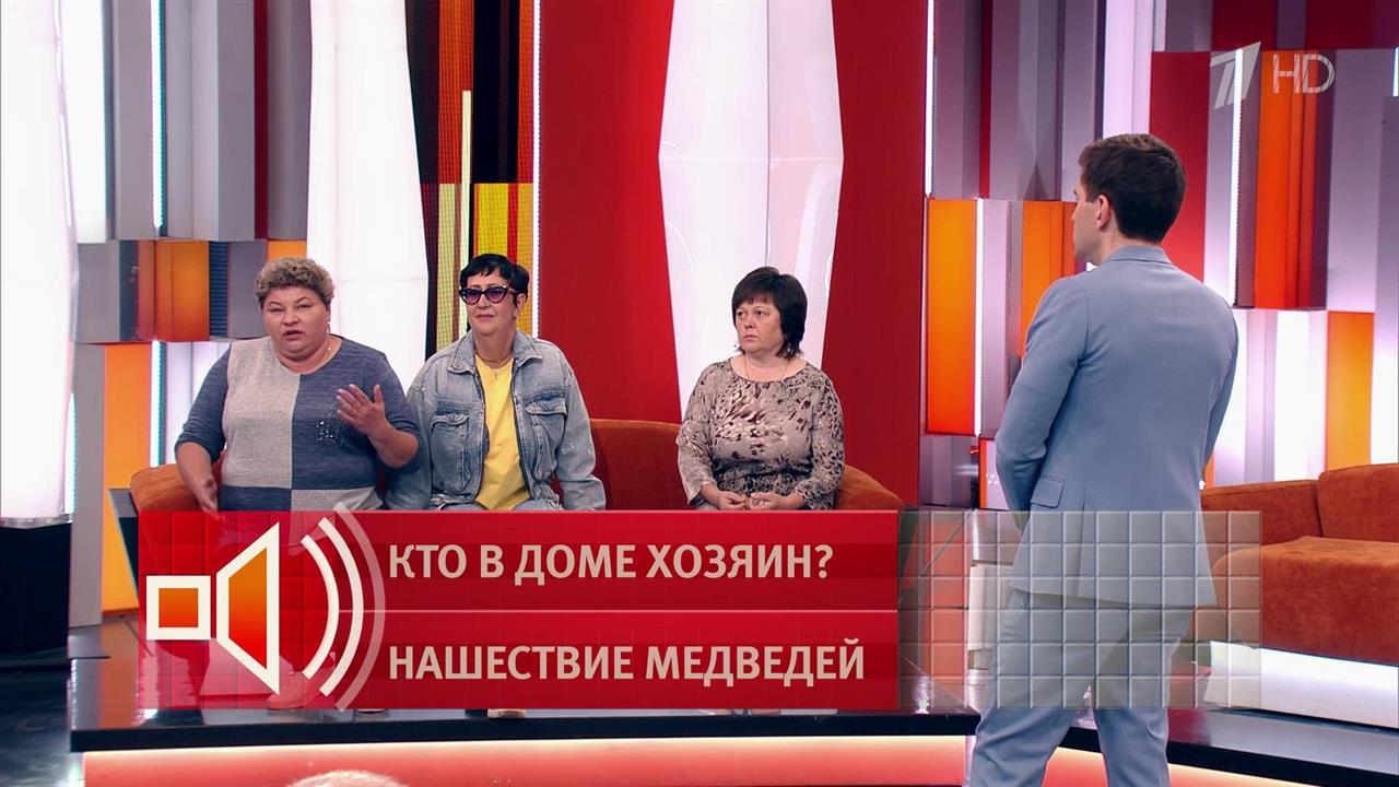 "Парень с топором": как пытались спасти девушку от медведя