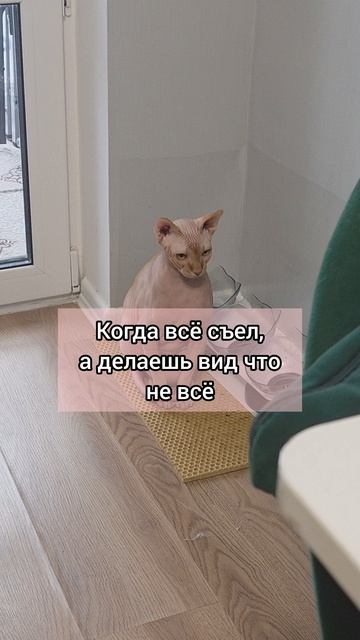 Когда нужна добавка