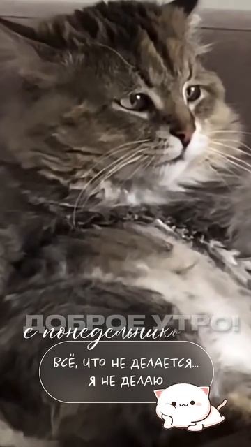Вчера была пятница, сeгодня — понедельник. Нe понимаю: куда делись выходные))) Кто -нибудь знает ?