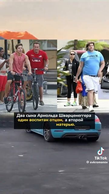 Координальная разница