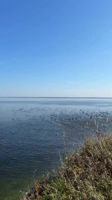 Около Шиловки. #ульяновск
