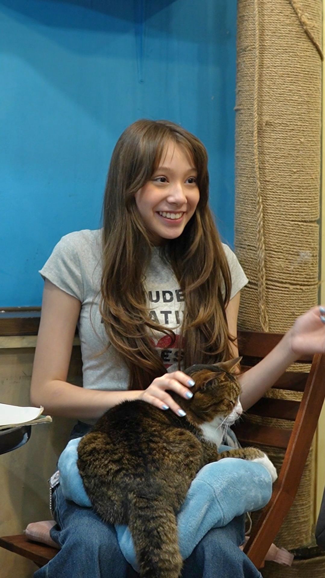 Кошачий дзен 😻