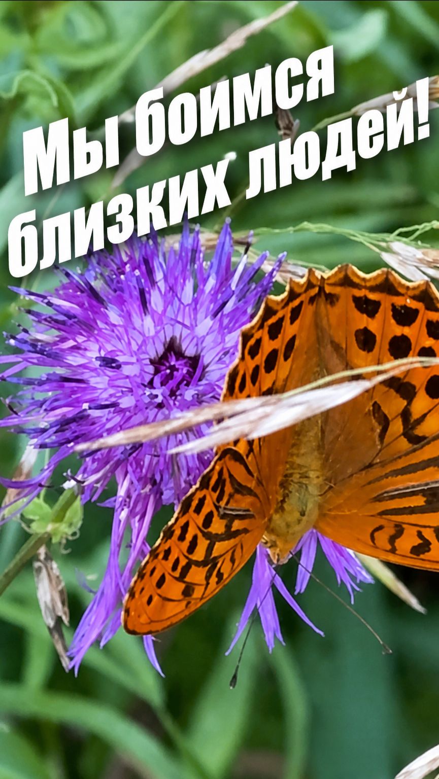 Психология это