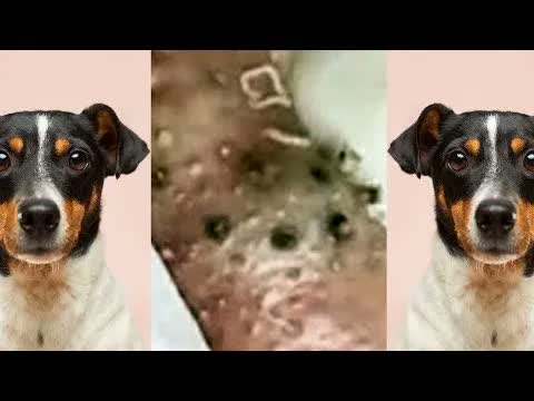 Relax Squeezing Out Blackheads #64 Черные точки
