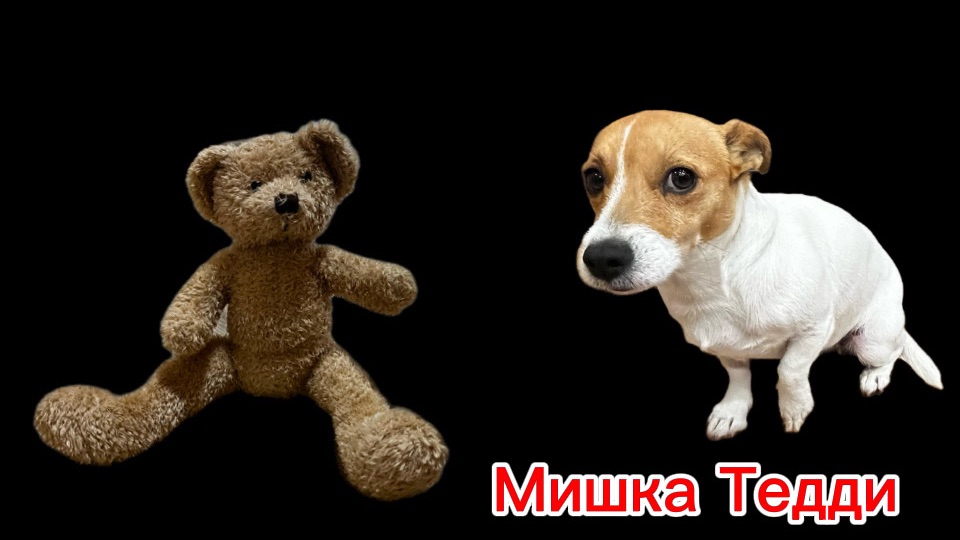 Проклятый Тедди
