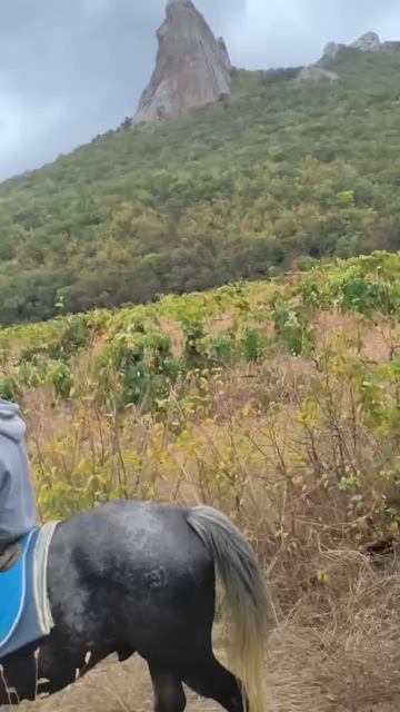 КОННОЙ ГРУППОЙ В КРЫМУ...