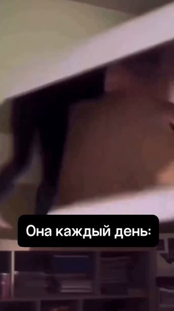 Либидо упало