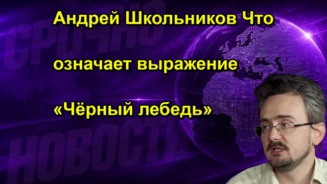 Андрей Школьников Что означает выражение «Чёрный лебедь»
