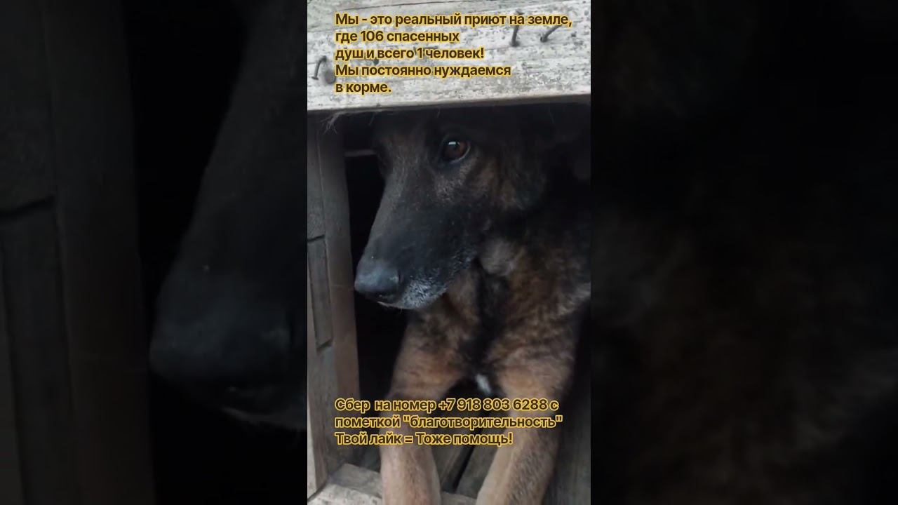 Готовимся к зиме))