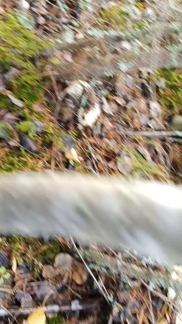 VID20260928104924[1]