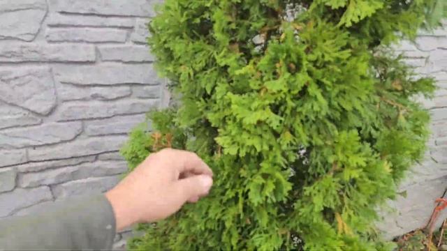 Думаю сделал хорошее дело!