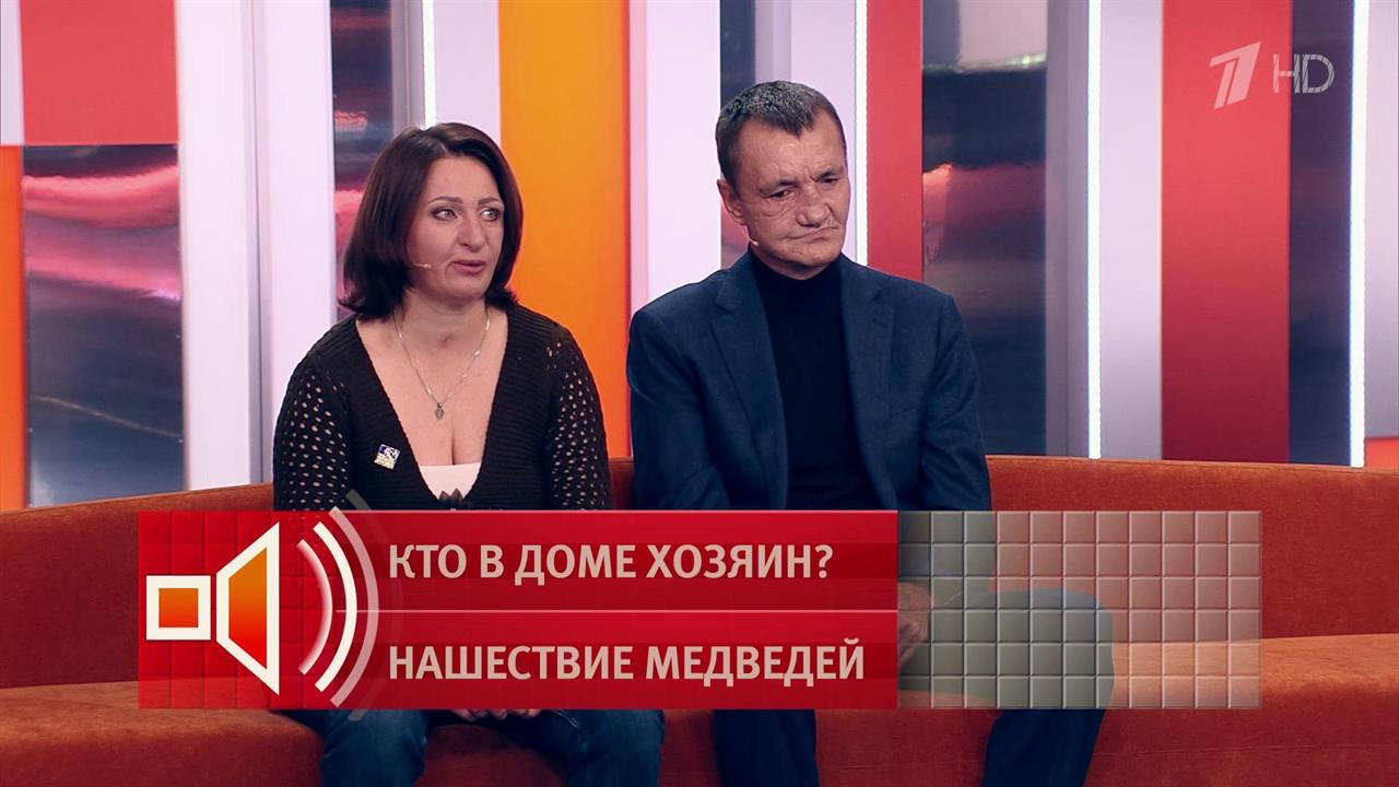 "Чувствую, как ломаются кости": женщина с топором отбилась от медведя
