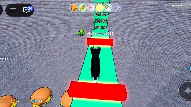 Роблокс Roblox В кошка(7)