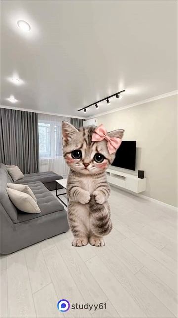 Поясняю на котятах