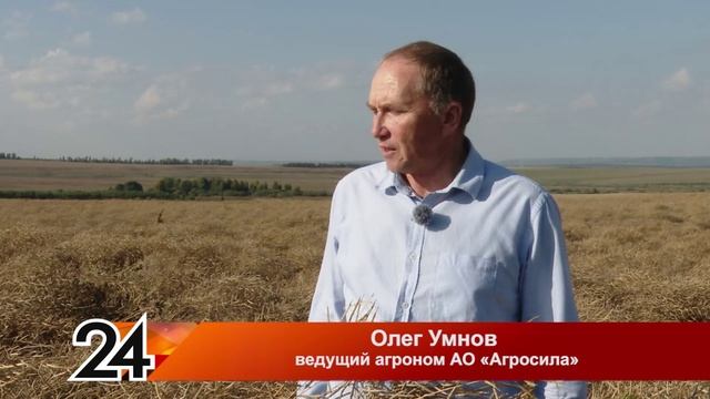 Аграрии Заинского района приступили к обмолоту рапса