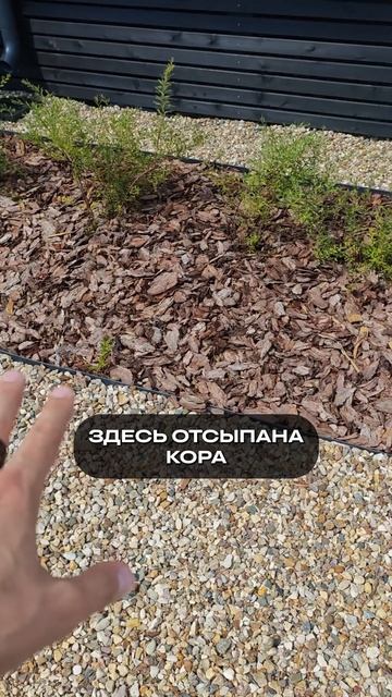 ШИКАРНЫЙ вариант двора за копейки! #садовыедорожки #строительство #стройка