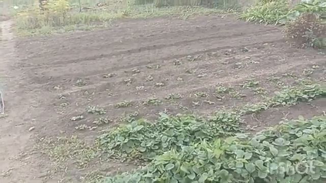 Видео были сняты в разные дни