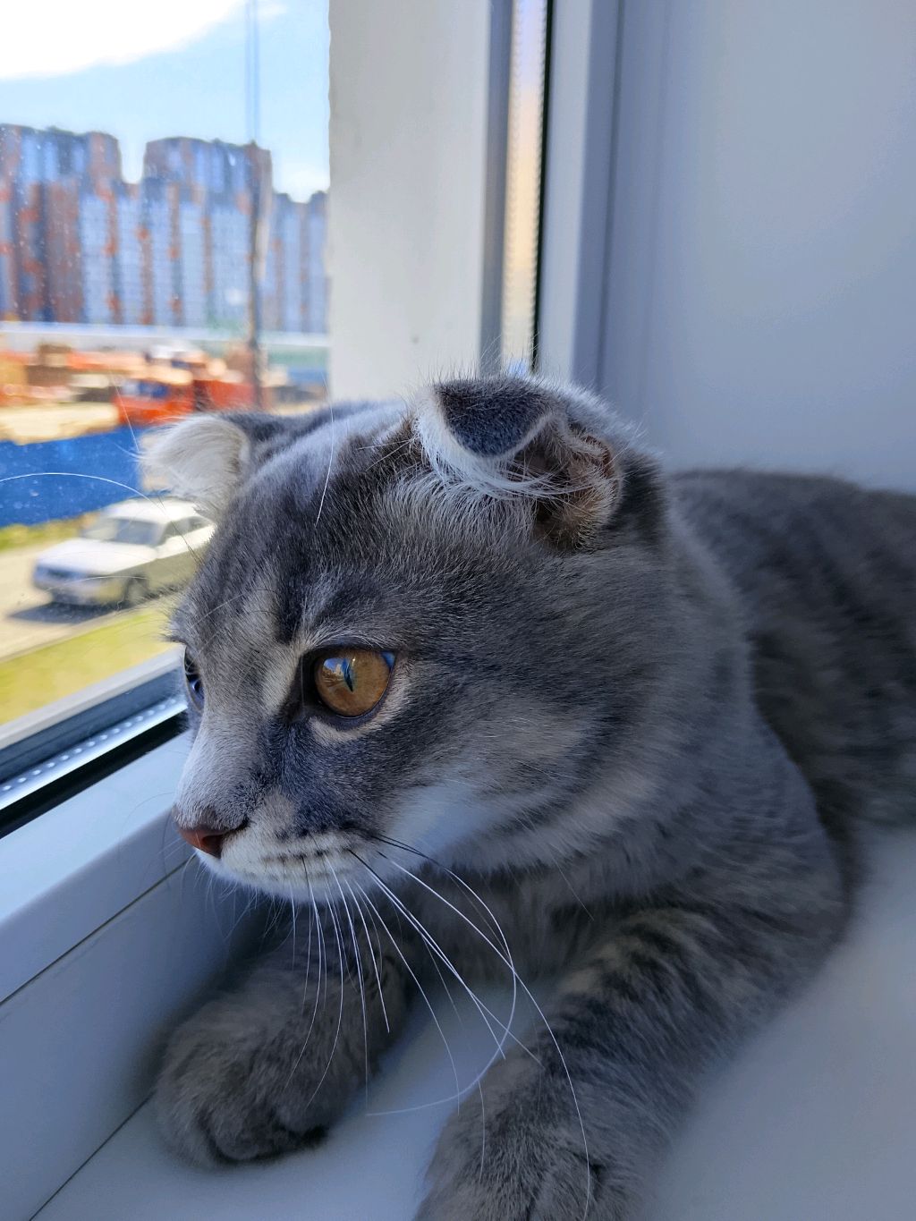окак