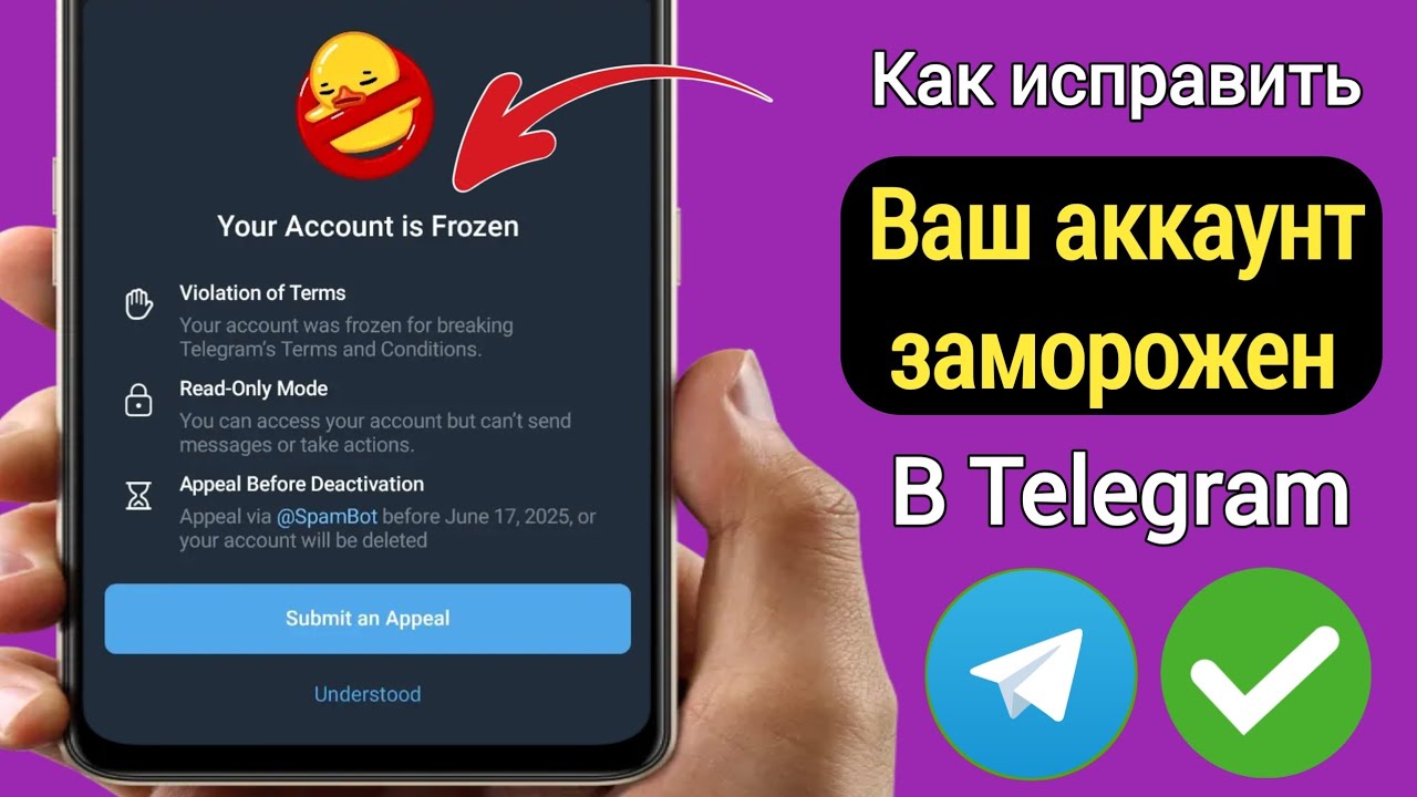 Как исправить проблему «Ваш аккаунт заморожен» в Telegram | Проблема заморозки аккаунта в Telegram
