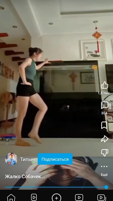 собачка....