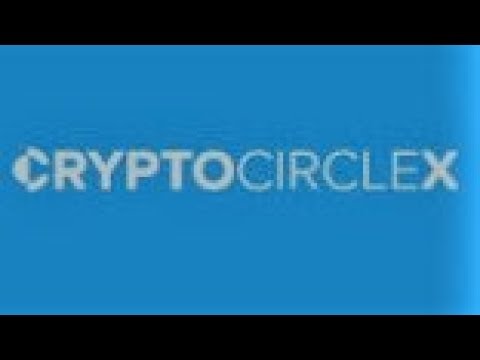 Полный обзор проекта Crypto Circle X (CCX)