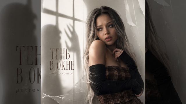 Тень в Окне