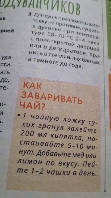 Чай из одуванчиков