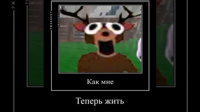 Video_16481281208396(1)