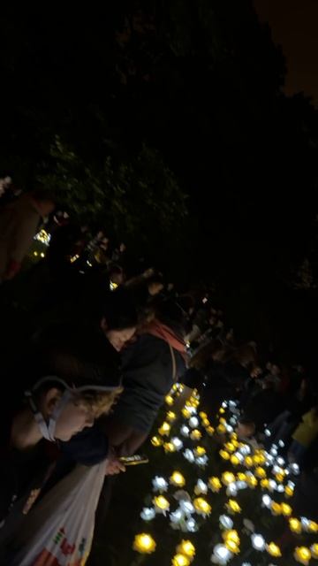 19-09-2026. Таллин. Эстония 🇪🇪 Парк Кадриорг.