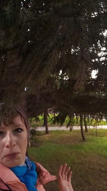 Когда хотела красивый кадр заснять а получилось что паутинка помешала, когда опять всё пошло не так