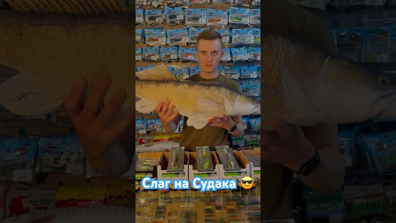 Слаг на судака #beregfishing #fishing #спінінг #carpfishing #carp