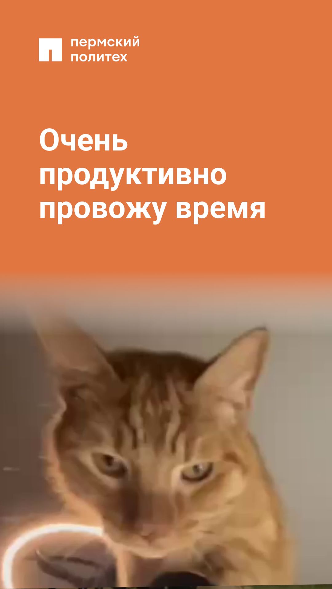 Очень продуктивно провожу время