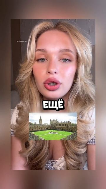 душнила