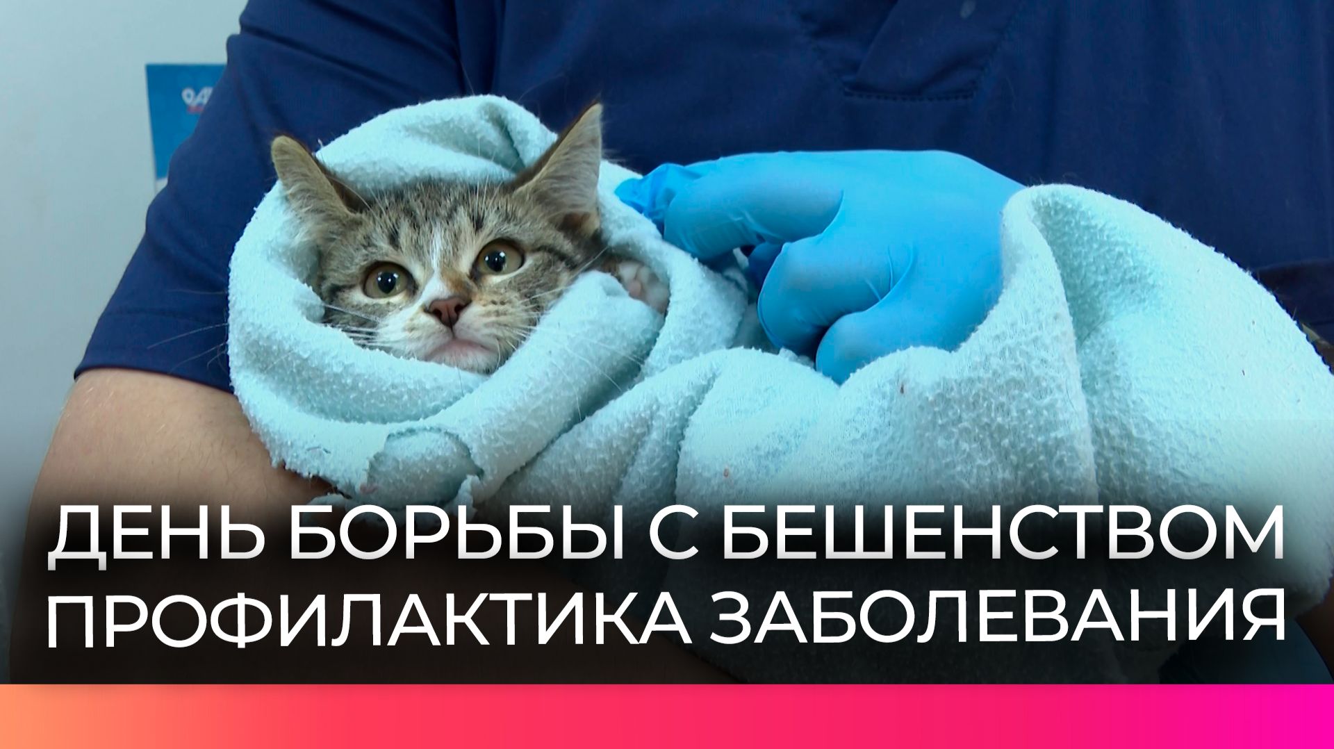 Сегодня отмечается всемирный день борьбы против бешенства