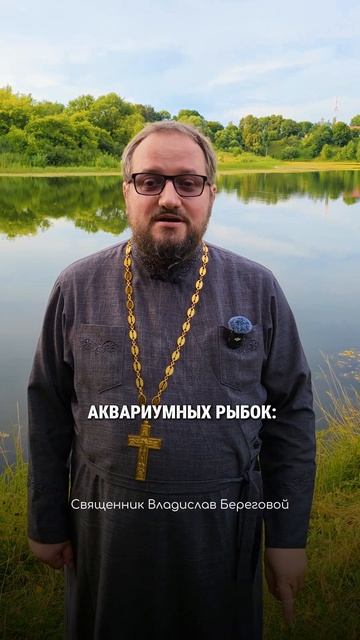 #мотивашки от Берегового