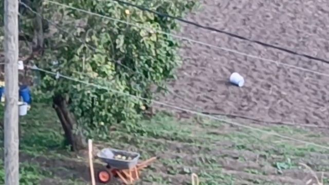 Пронск. Вид с Покровского холма.20.09.26. Музыка -Николай Емелин 