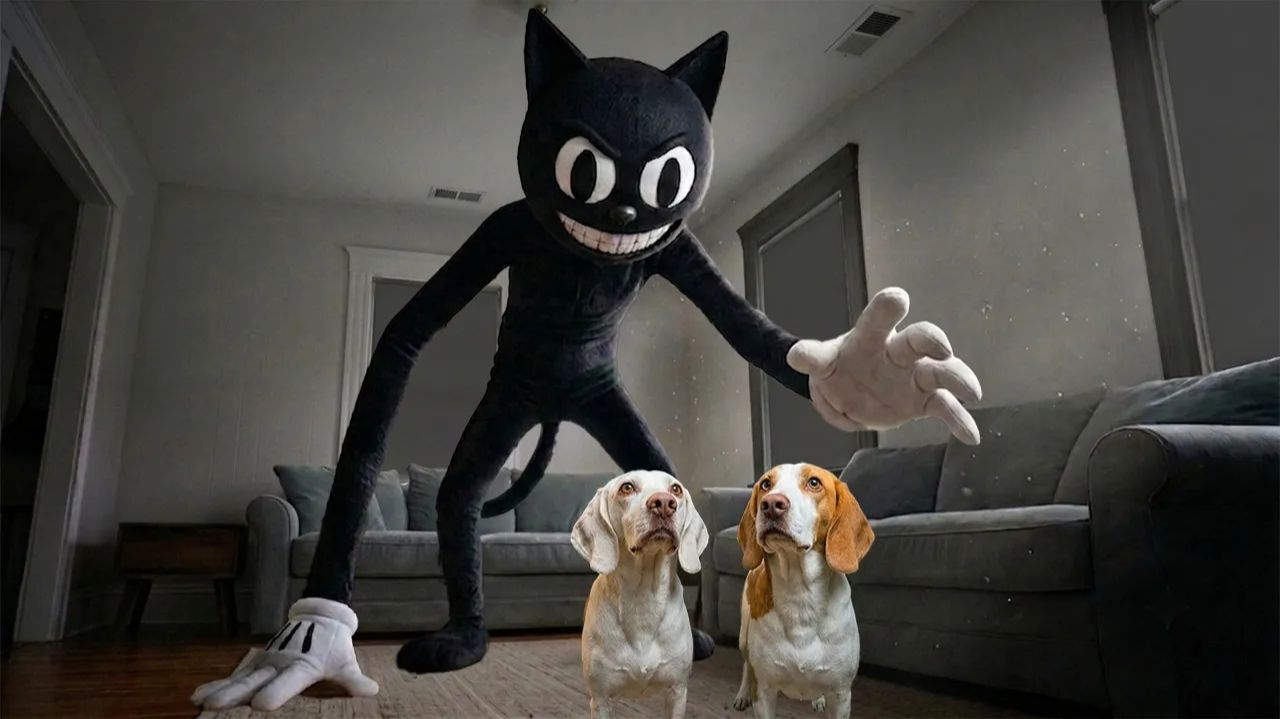Псы против гигантского мульт-кота! 🐶🐱