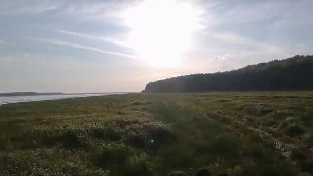Музыка темного времени - осенняя