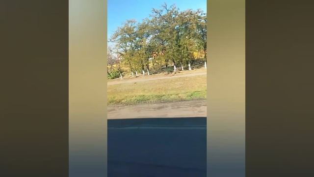 я поехала в зоопарк 🐘👍 с классом
