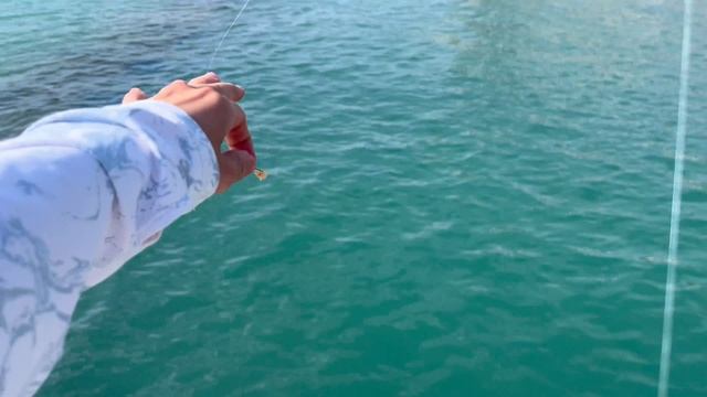 Осенний мормышинг в центре Сочи