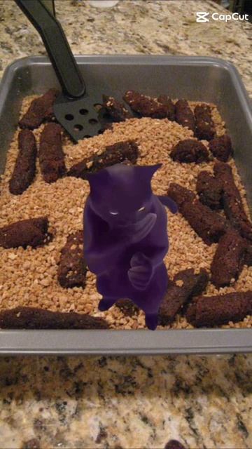 Когда люди кушают 🥣  они какают 💩 😂 и так всегда 😂😂😂