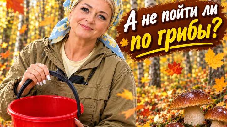А НЕ ПОЙТИ ЛИ ЗА ГРИБАМИ 🤨 УСТАЛА 🤪 КАК ГОНЧАЯ 😱🤪