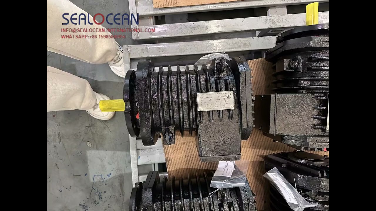 КИТАЙ ЗАВОД SEALOCEAN ЭЛЕКТРОДВИГАТЕЛЬ РОЛЬГАНГОВЫЙ АРМ 43-12, 0.4 КВТ, IM3001,IM1001