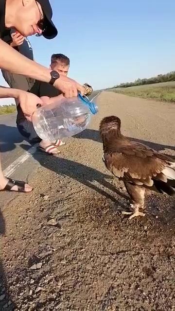 БЫВАЕТ