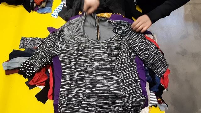 Футболки женские XL  (-S1-Nt2-LP L/S XL)   -   Ж 209