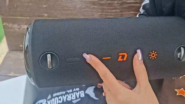 Barracuda Big Portable Speaker